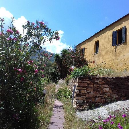 Ikarian Centre - Accommodation & Mountain Hiking エヴディロス エクステリア 写真