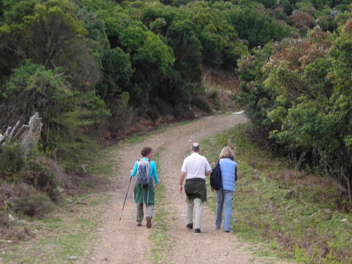 Ikarian Centre - Accommodation & Mountain Hiking エヴディロス エクステリア 写真