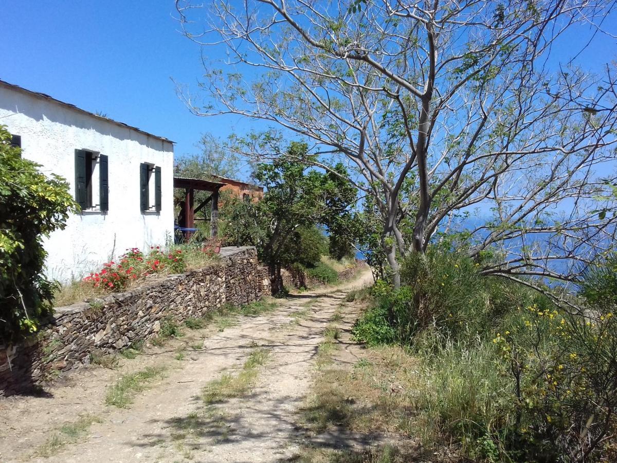 Ikarian Centre - Accommodation & Mountain Hiking エヴディロス エクステリア 写真