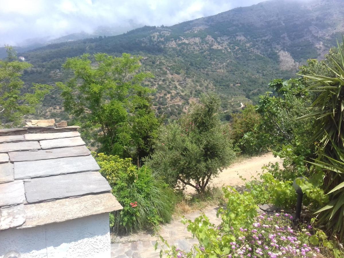 Ikarian Centre - Accommodation & Mountain Hiking エヴディロス エクステリア 写真